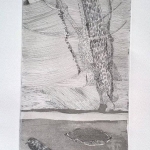 Copper Graphics 2016