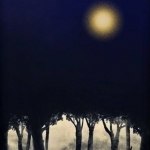 The moonlight life cycle #16