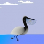 live on nature of sea #43