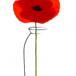 Poppy Flowers #87