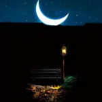 Goodnight Moonlight #101