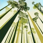 Forest and Nature #110