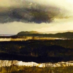 Landscaping in the shade #8 Landscaping in the shade #8