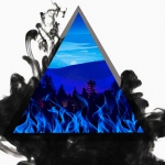 Amazon Rainforest Has Been Burning #121