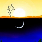 The Afternoon Sun & Moon Forest #123