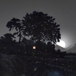 Moonlight Dream #133