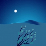 Duck Bird with night moon #142