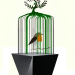 Need help for the freedom of landscape #162