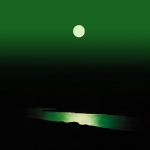 Moonlight Shadow #188