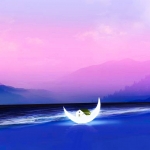 Home on the moon #195