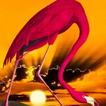 Flamingo Sunset #215