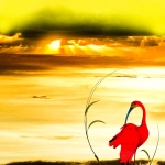 Sunset Landscape #216