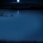 Moonlight Night #141