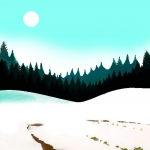 Sun and Snow in the Forest #147