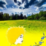 Flower landscape in Ryttylä #172