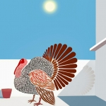 Birding at Home with Sun #190