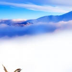 The Nature of Snow #122