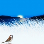 Sparrows in the Snow #123