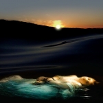 The Young Martyr #157