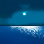 Moonlight on the lake #159