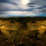 The Nature and Life #162