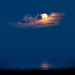 Headscarf on the Moonlight #177