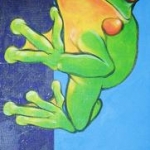 Frog 16