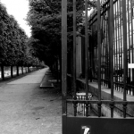 Jardins des Tuileries