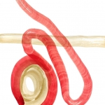 zoeken 2