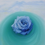 blauwe roos 