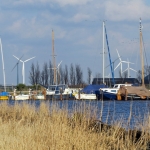 SCHEEPJES BIJ EEMDIJK