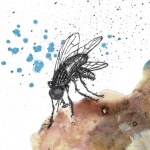 Vlekken en Vliegen I