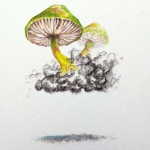 Paddenstoelenwolk II (papegaaizwammen)