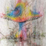 Regenboogpaddenstoel