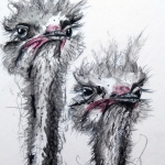 twee struisvogels
