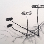 Twee paddenstoeltjes op blad