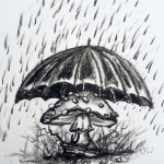 regenachtige paddenstoel