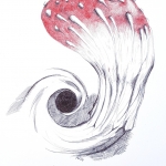 BIC black hole/tot de laatste paddenstoel