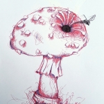 Vliegenzwam met zwart gat