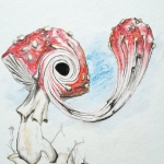 Vliegenzwam in Vliegenzwam