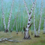 Berkenbomengroep met oude knoestige berk in Reijndersbosje bij Orvelte. 