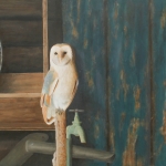 Kerkuil in oude schuur met rommel