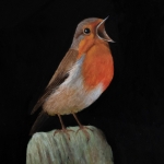 Roosborstje, zingend op paal.