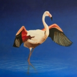 Flamingo met open vleugels