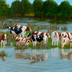 Koeien in ondergelopen uiterwaard. 