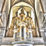 orgel bergkerk