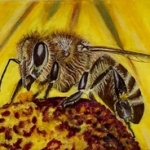 “We make food, so we are food”