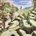Sawah’s 
