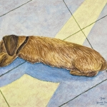 Joep 
