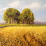 polderlandschap
